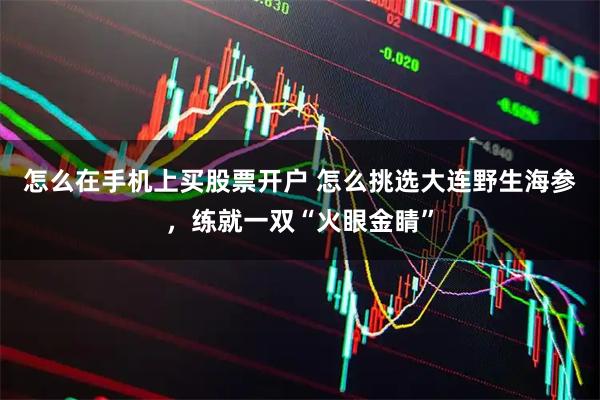 怎么在手机上买股票开户 怎么挑选大连野生海参，练就一双“火眼金睛”